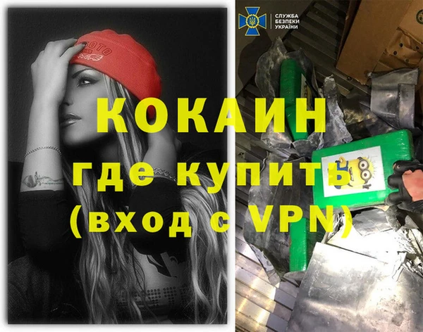 шишки Протвино